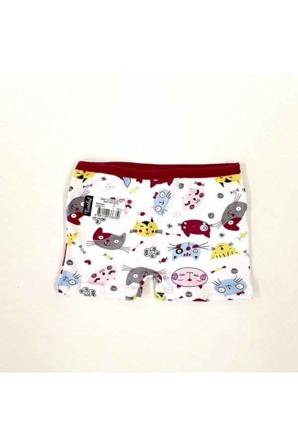 Kız Çocuk 6lı Renkli Desenli Boxer - Resim 6