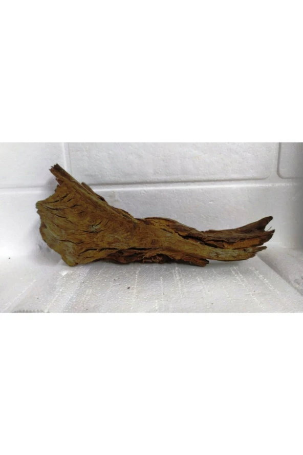 Doğal Akvaryum Dekoru Mangrov Kökü ( 37x16 Cm) ürün görseli 1