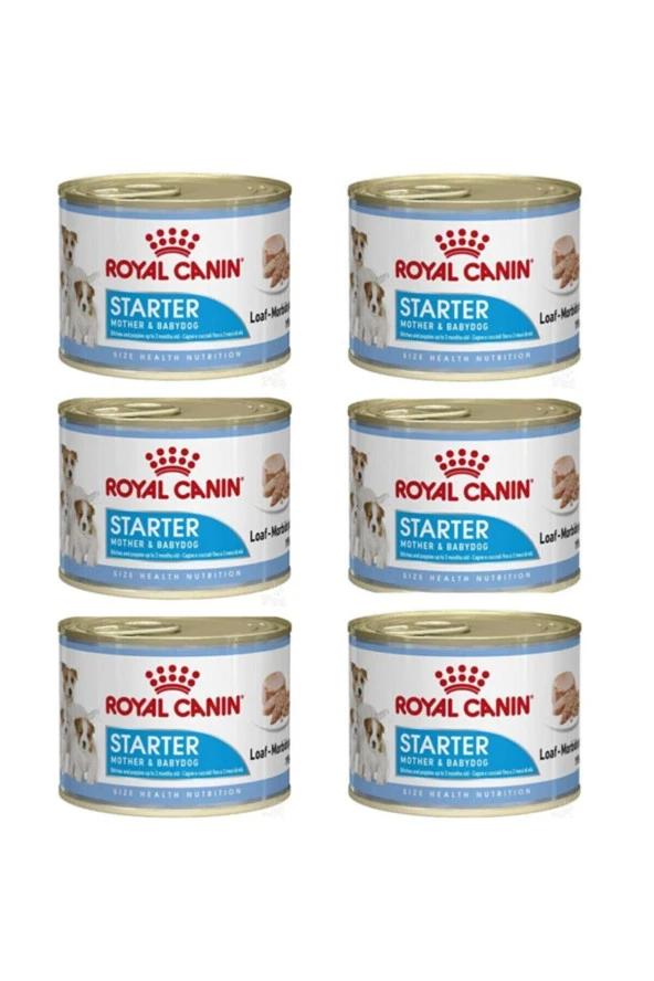 Royal Canın Starter Yavru Köpek Konserve Maması 6 Adet X 195 Gr ürün görseli 1