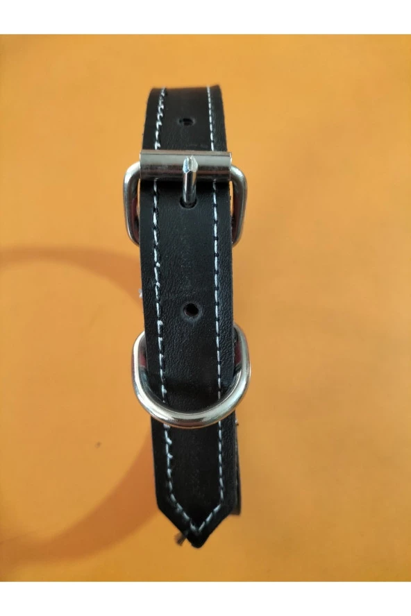 45 Cm Şık Köpek Tasma ürün görseli 1