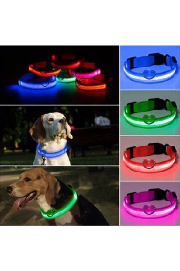 Kedi Köpek Led Işıklı Boyun Tasması, Ayarlanabilir Boyun Tasması ürün görseli 1