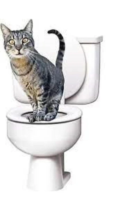 Kedi Tuvaleti - Resim 3