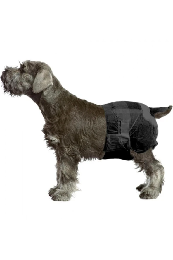 Volmin Petshop Köpek Alt Bağlama Bezi S Boy 12 Adet ürün görseli 1