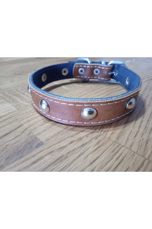 Aksesuarlı Metal Detaylı Deri Kedi Köpek Tasması ürün görseli 1
