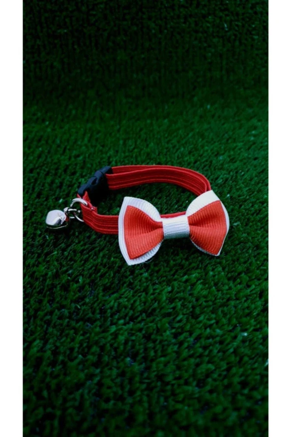 Volmin Petshop Papyonlu Boyun Tasma - Resim 4