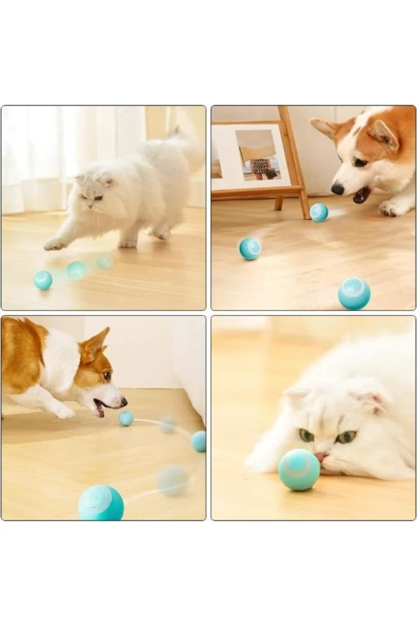 İnteraktif Kedi Köpek Şarjlı Oyun Topu ürün görseli 1