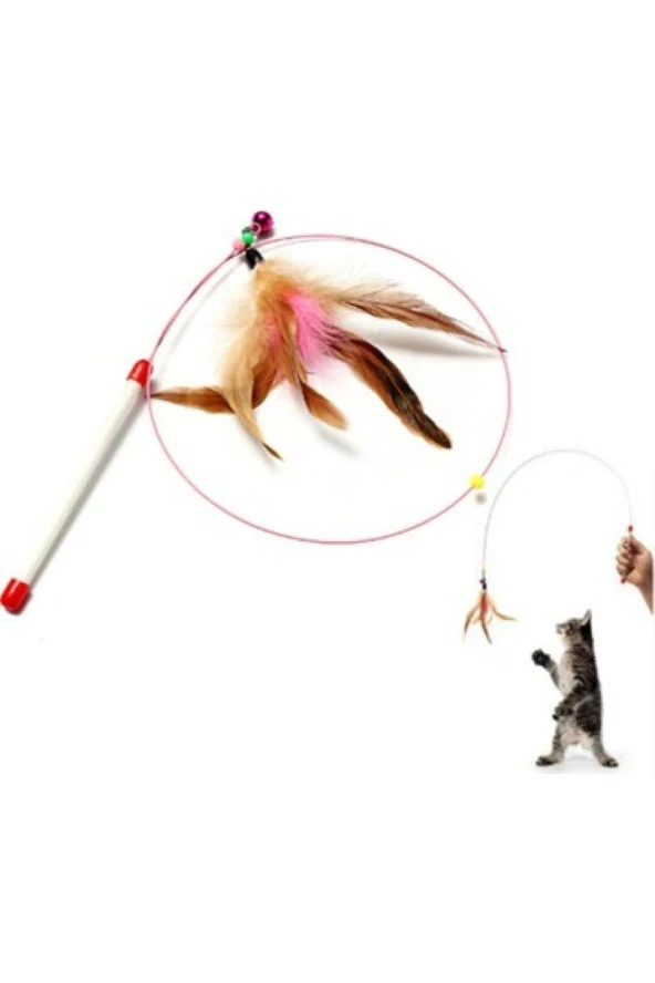 Kedi Oltası Kedi Oyuncak - Resim 2