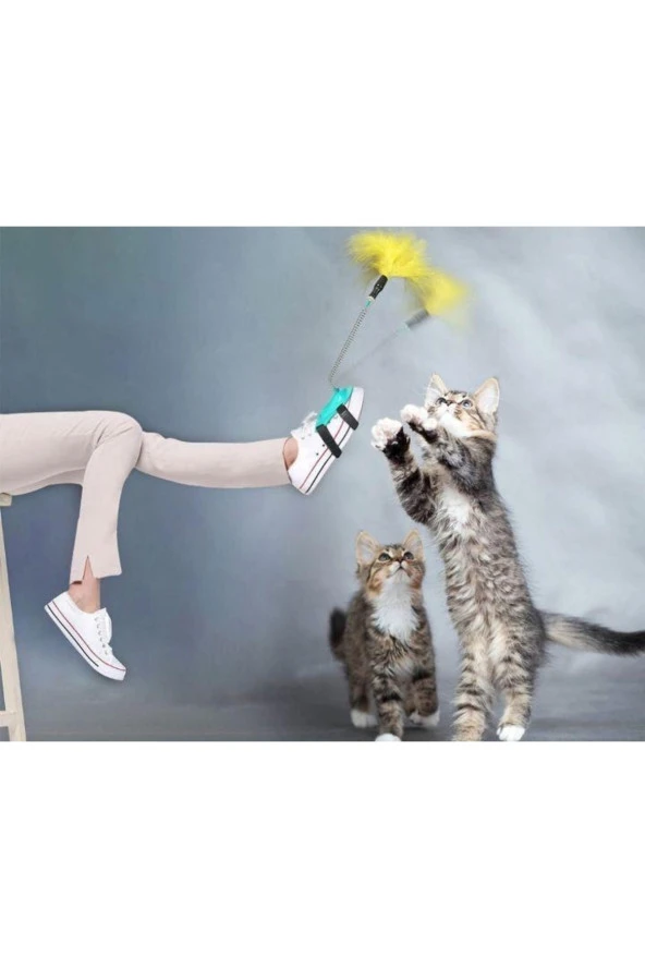 Kedi Oyuncagı Ayak Oltası ürün görseli 1