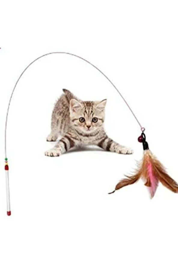 Paws Kedi Oltası 1186 ürün görseli 1