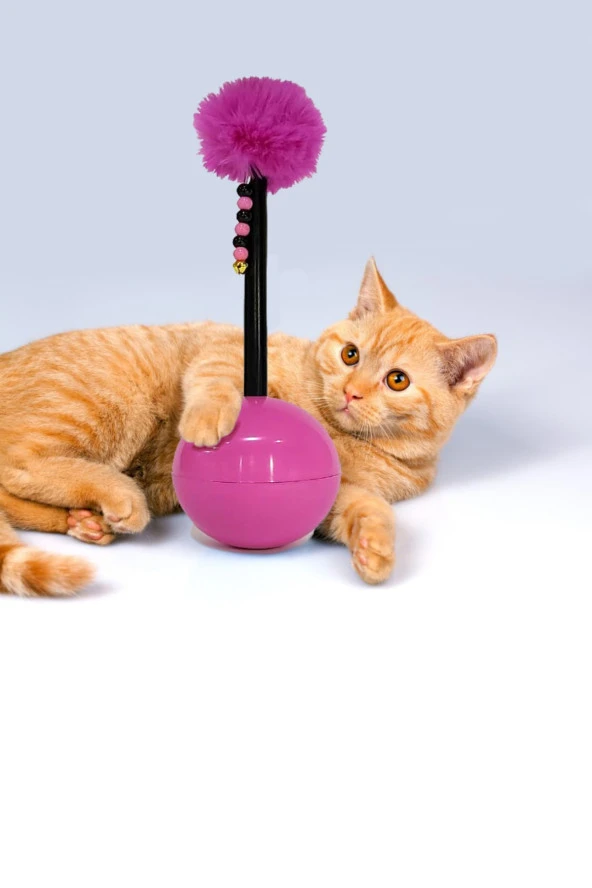 Hacıyatmaz Kedi Oyuncağı - Pembe - Resim 2