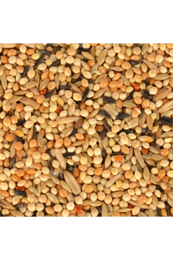 Volmin Petshop Yavru Yemi 400 Gr - Resim 3