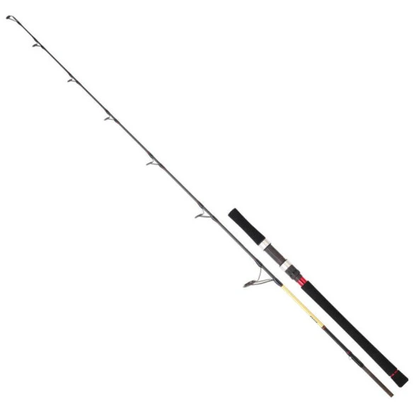 Daiwa Grandwave 1.68m 100-300gr 1+1 Tetikli Jig Olta Kamışı ürün görseli 1