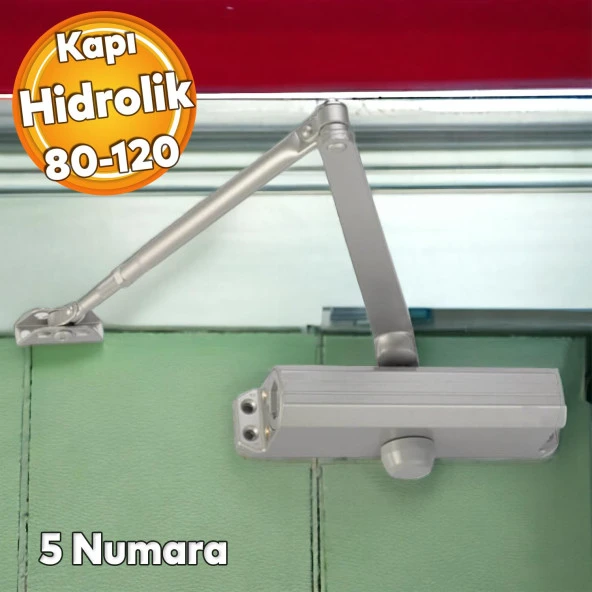 Çelik Kapı Hidroliği Kapı Durdurucu Yavaşlatıcı Yayı No: 5 Kapasite 80-120 Kilogram Gümüş Renk ürün görseli 1