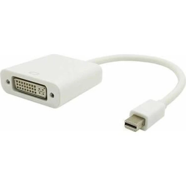Mini Display Port Dvı Çevirici ürün görseli 1