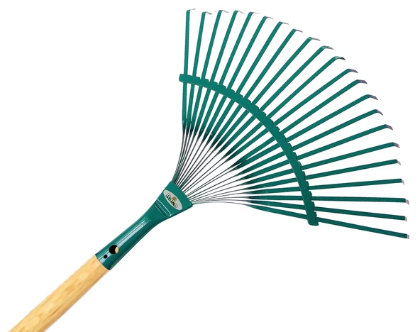 Raco 53731 Ahşap Saplı Metal Çim Ve Yaprak Toplama Tırmığı 45 Cm ürün görseli 1