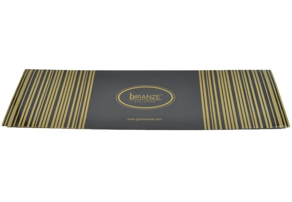 Brianze Yeşil Siyah Çizgili Kravat Mendil Set - Resim 3