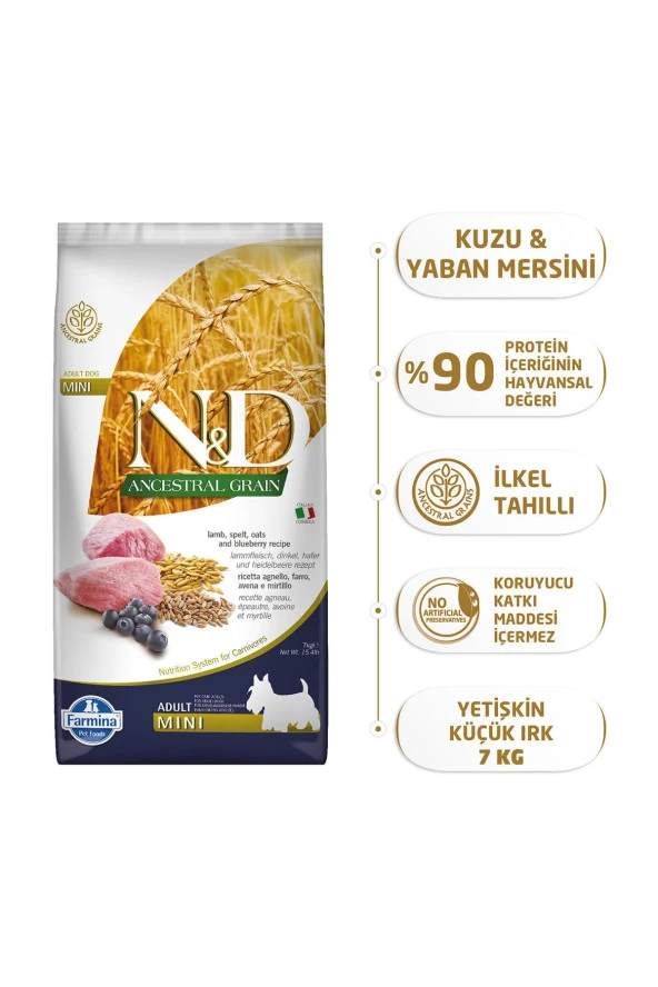 N&D Ancestral Grain Kuzu Etli Yaban Mersinli Küçük Irk Ata Tahıllı Yetişkin Köpek Maması 7kg ürün görseli 1