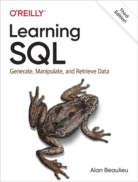 Learning SQL: Generate, Manipulate, and Retrieve Data 3rd Edition Alan Beaulieu ürün görseli 1