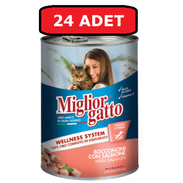 Miglior gatto somonlu kedi maması 24adet x 400 gr konserve yaş mama ürün görseli 1
