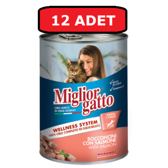 Miglior gatto somonlu kedi maması 12adet x 400 gr konserve yaş mama ürün görseli 1
