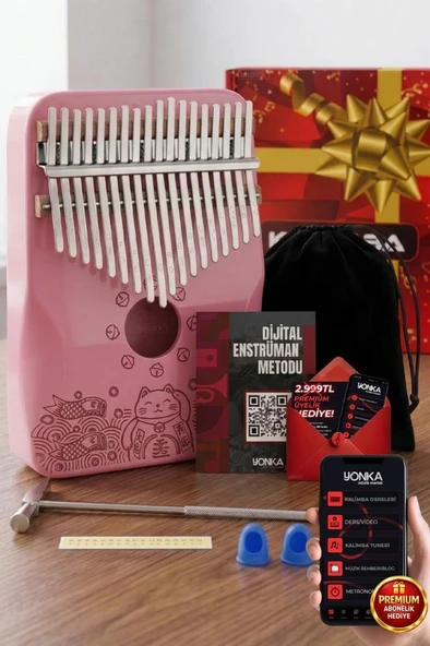 Midex KLX-350 Pembe Kalimba Gerçek Ağaç 17 Tuşlu Full Set ürün görseli 1