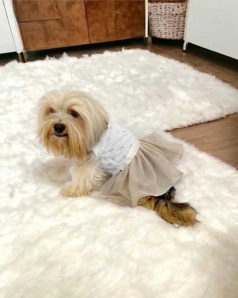 Sun Cream Duo Tütülü Köpek Elbisesi,  Kıyafeti Tutu ürün görseli 1