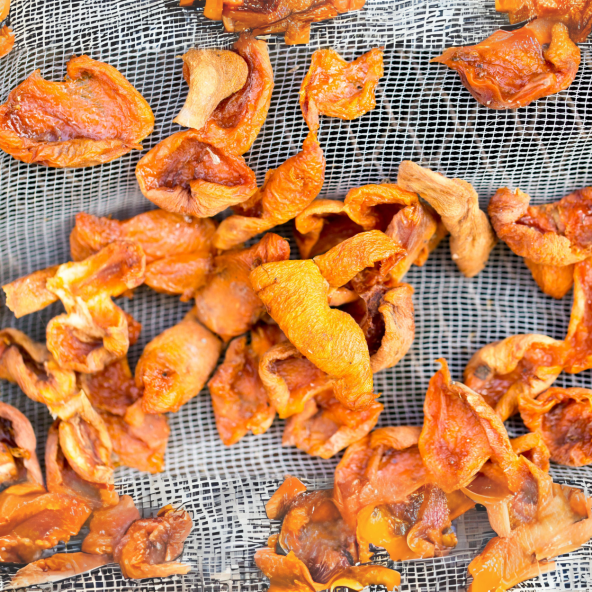 Kompostoluk Kuru Kayısı 500 Gr ürün görseli 1