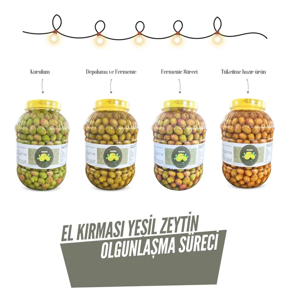 Kırma Yeşil Zeytin 5 Lt - Resim 3