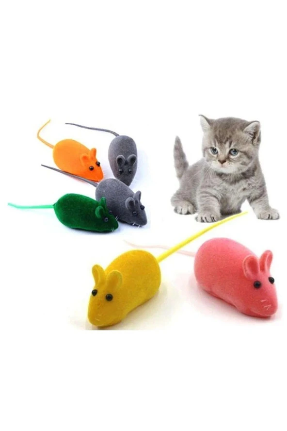Yıldızhane Kedi Eğitim Oyun Faresi Sesli 2 Adet ürün görseli 1