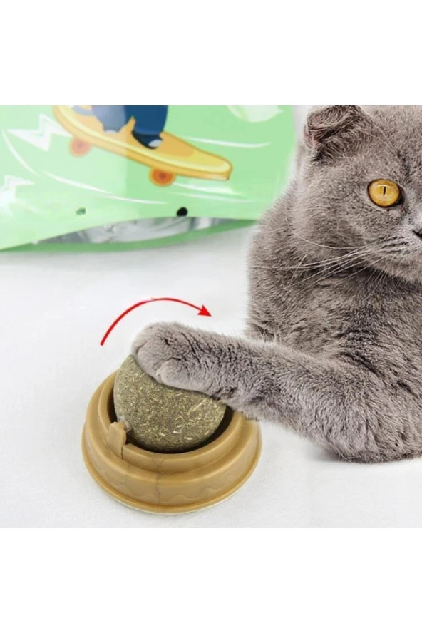 Zeki Karga Doğal Catnipli Yenilebilir Kedi Nanesi Otu Oyun Topu Oyuncağı Cat Mint Top Oyuncak ürün görseli 1