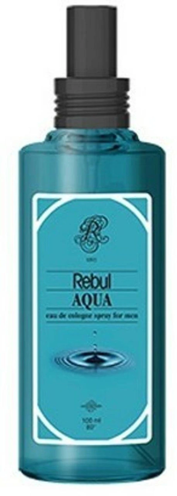 Rebul 100 ml Sprey Kolonya  - kutusuz Aqua ürün görseli 1
