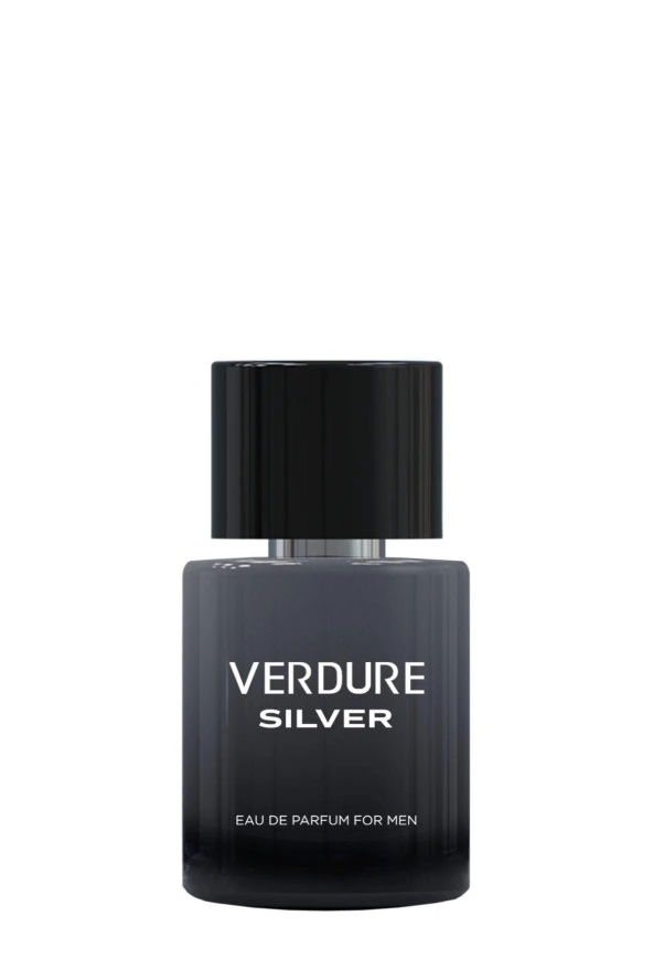 Verdure Silver 100 Ml Edp +150 Ml Deodorant Erkek - Resim 4