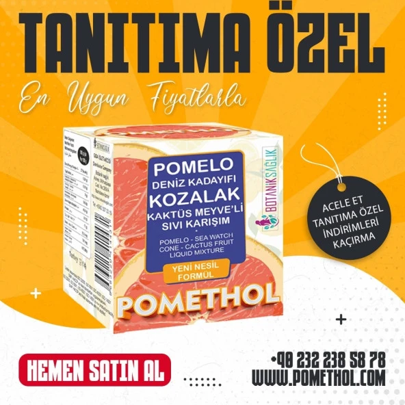 Pomethol Macun - 240 gr - Resim 2