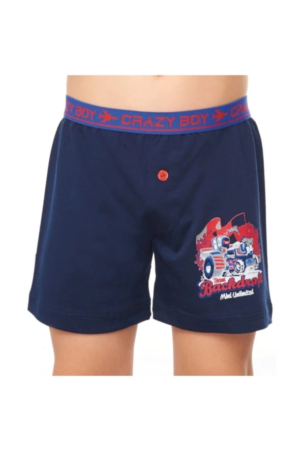 6 Lı Erkek Çocuk Boxer - Baskılı - Resim 2