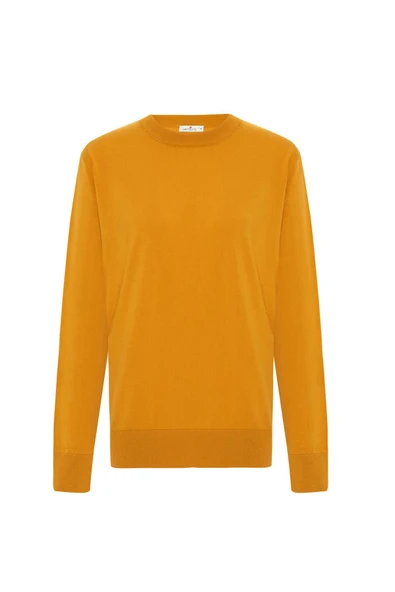 Peraluna MATEO O NECK PULLOVER Yumuşak Tuşeli Mevsimlik Erkek Triko Kazak - Hardal ürün görseli 1