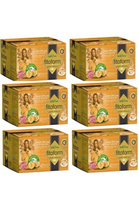 6 Adet Fitoform Kayısılı Çay (6x40 Süzen Poşet) ürün görseli 1