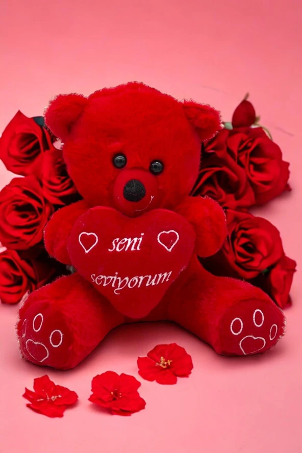 PELUŞ Sevimli Ayıcık Kalpli 35cm - Resim 4