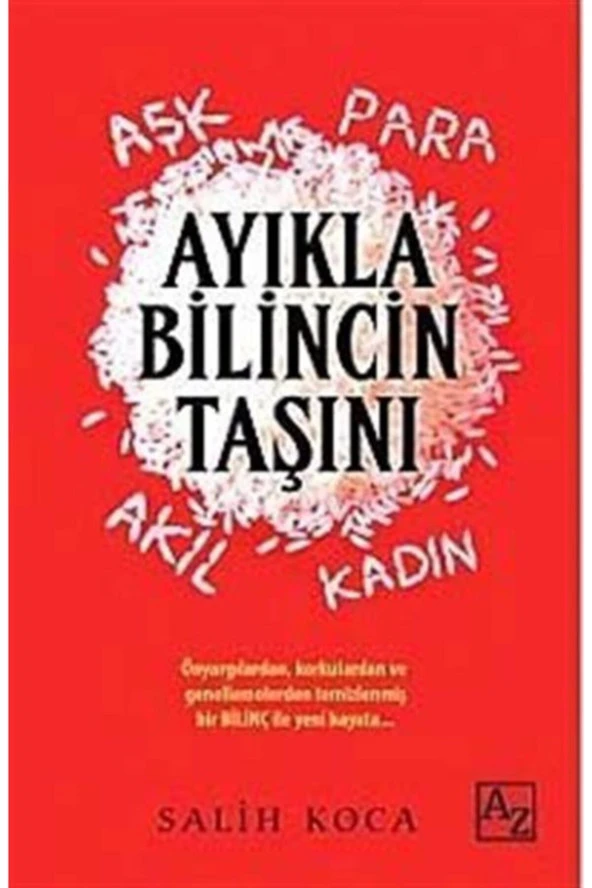 Ayıkla Bilincin Taşını - Salih Koca ürün görseli 1