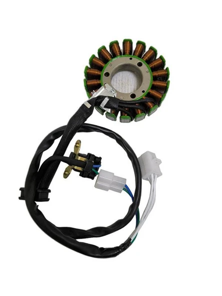STATÖR RKS 150 TİTANIC - Resim 7