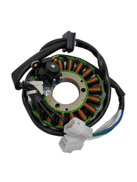 STATÖR RKS 150 TİTANIC - Resim 5