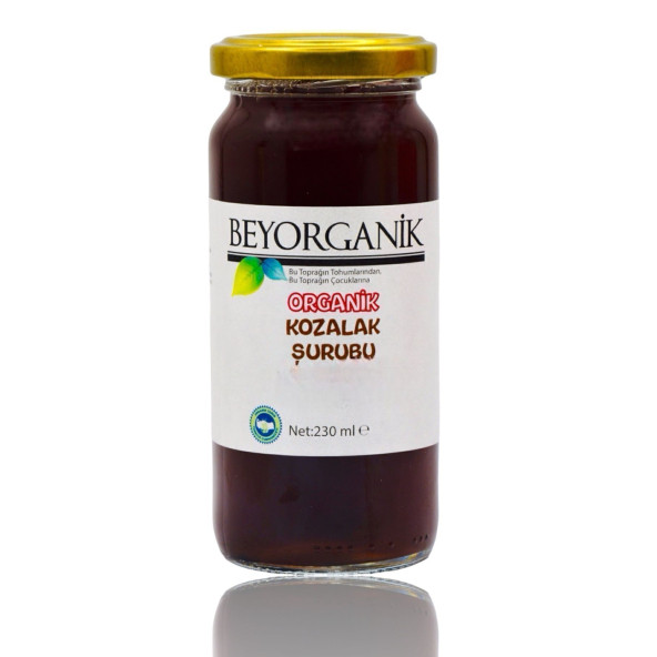 BEYORGANİK Organik Çam Kozalak Şurubu 230gr ürün görseli 1