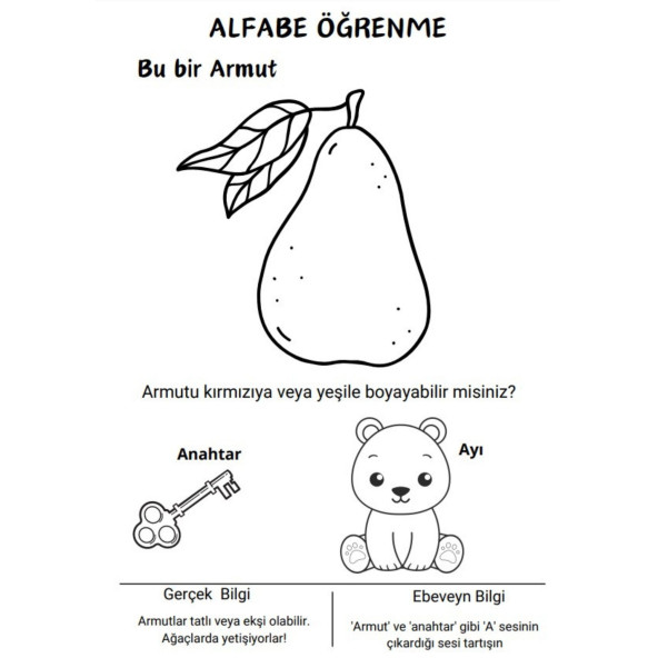 Okul Öncesi Evde İLK Eğitim Renklendir Öğren - Resim 3