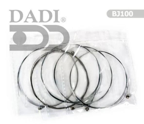 Banjo Takım Tel BJ100 - Resim 3