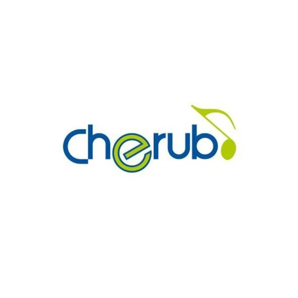 Vakumlu Akort Aleti Cherub CH-ST710 - Resim 2