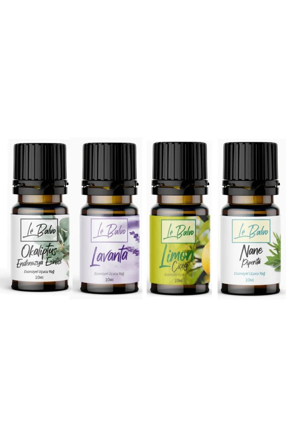 LE BALVO Okaliptus,Lavanta,Limon,Nane Doğal Uçucu Saf Buhurdanlık Esansı Oda Kokusu Esans Buhur Yağı 10ml ürün görseli 1