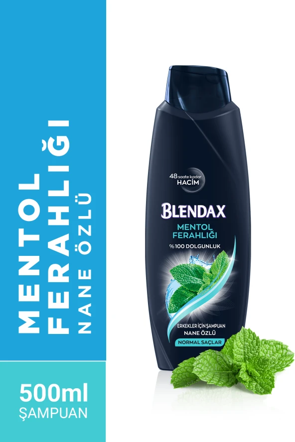 Blendax Erkekler Için Mentollü Şampuan 500 Ml ürün görseli 1