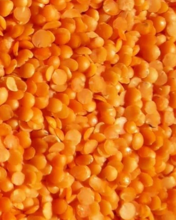Orti İtal Futbol Kırmızı Mercimek 25 Kg. ürün görseli 1