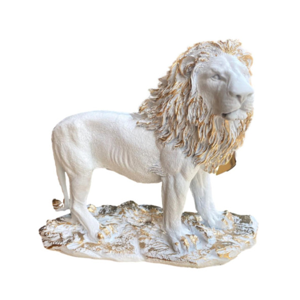 ASLAN BİBLO HF248-6 ürün görseli 1