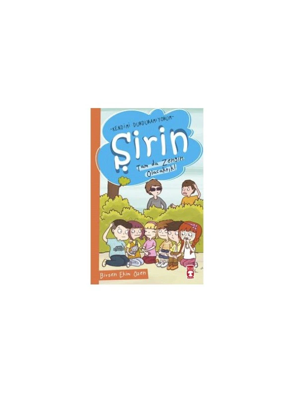 Şirin: Tam Da Zengin Olacaktık - Birsen Ekim Özen ürün görseli 1