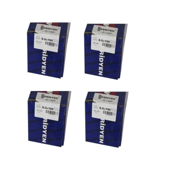 Meridyen Sunta vidası 6.0x100 400 Adet (4 Paket) ürün görseli 1